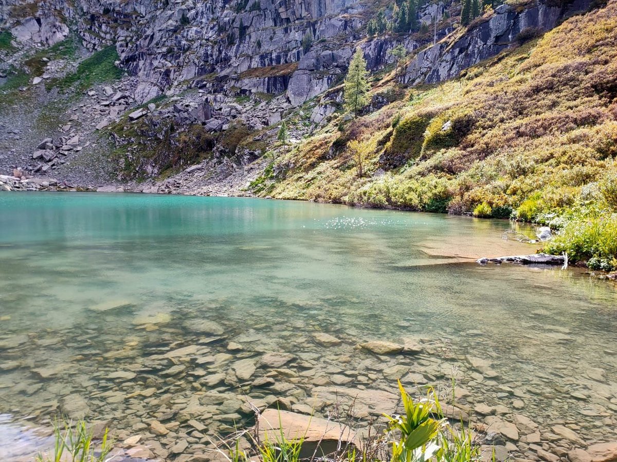 АЛТАЙ ВОЯЖ (Чемал) - отзывы и фото - Tripadvisor