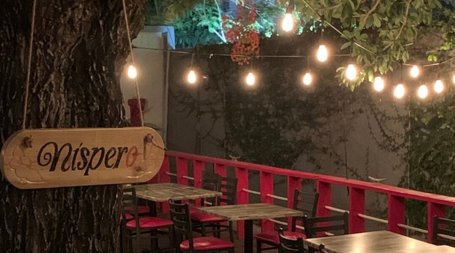 Nuestra hermosa terraza bajo el árbol de Níspero