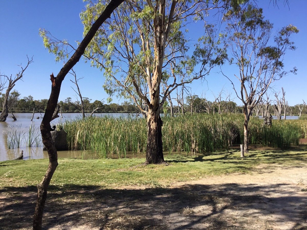 KINGSTON-ON-MURRAY CARAVAN PARK (AU$71): 2022 Prices & Reviews ...