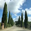 missestera