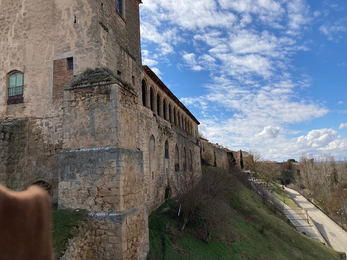 Imagen 2 de Palacio de los Hurtado de Mendoza
