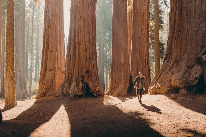 Grant grove outlet trail