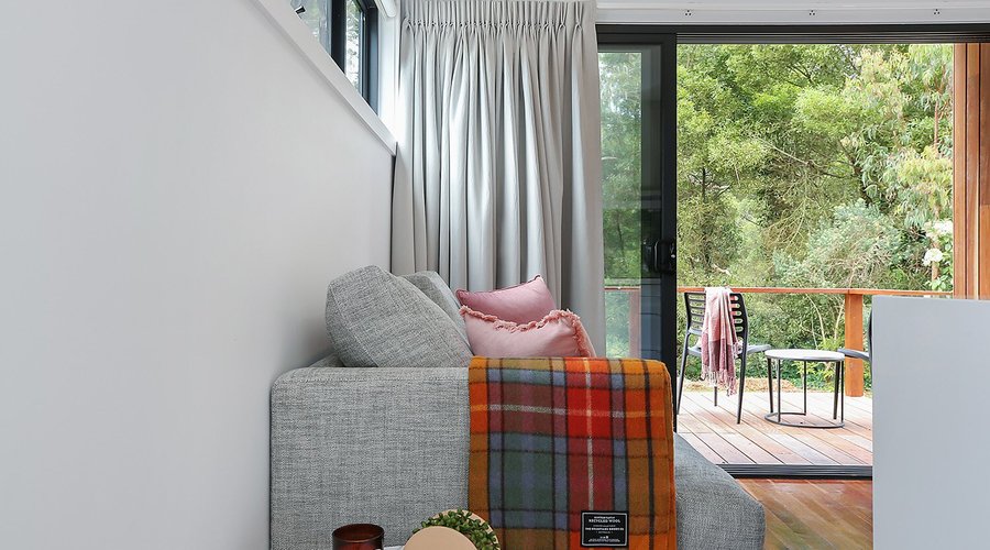 Raspberry living area