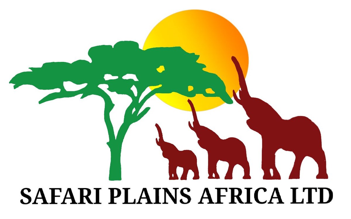 Safari Plains Africa Ltd - All You Need to Know BEFORE You Go (2024)