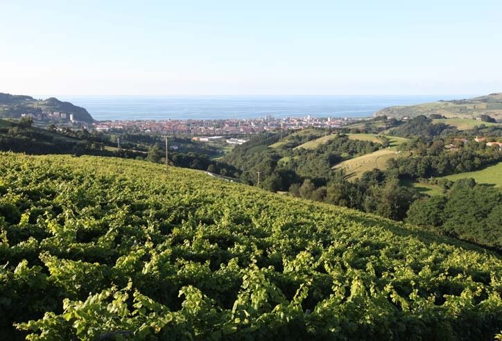 Txakoli Mokoroa (Zarautz, Spanyol) - Review - Tripadvisor