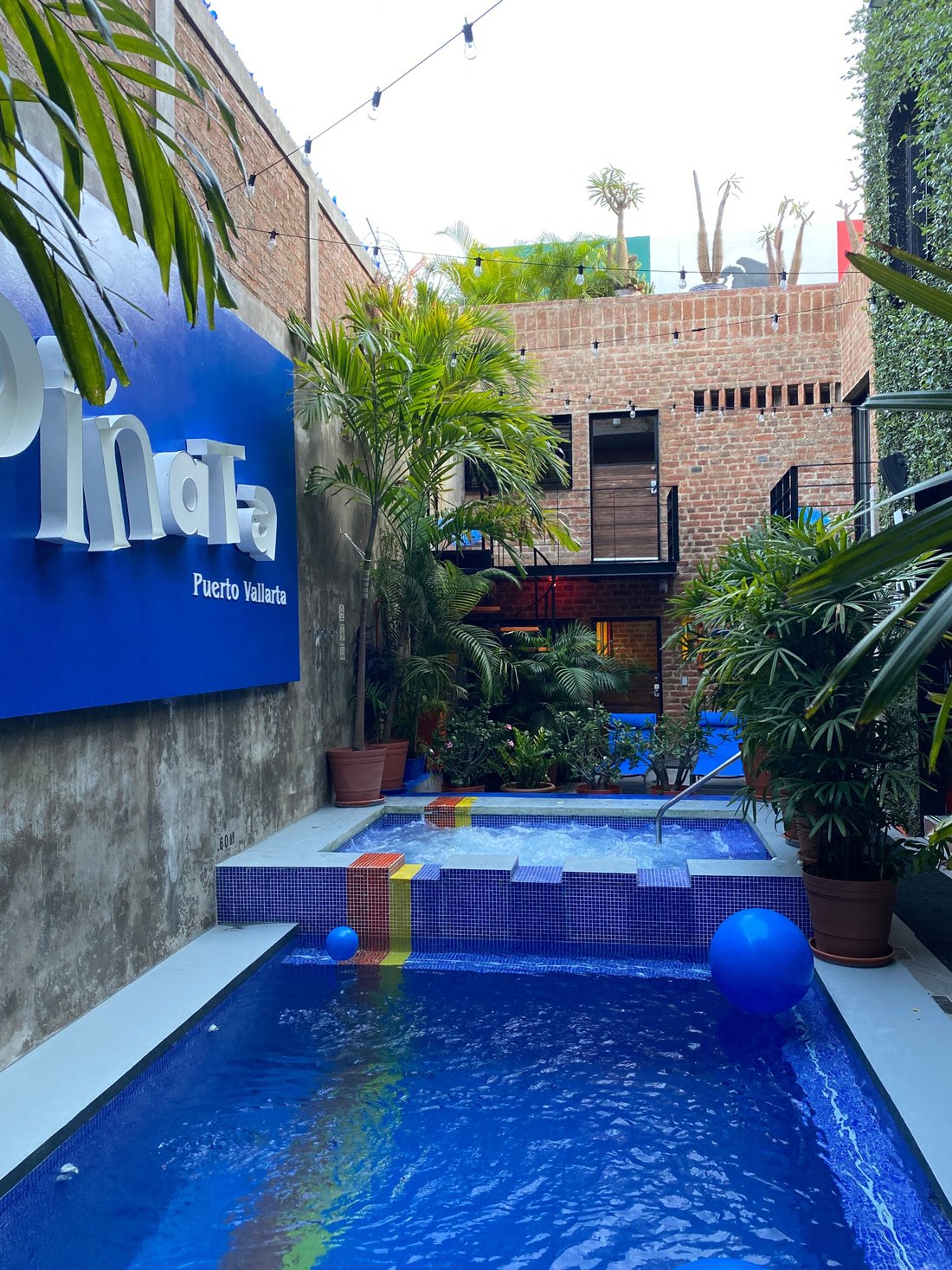 PIÑATA PV GAY HOTEL - Updated 2024 Specialty Inn Reviews (Puerto Vallarta,  Mexico)