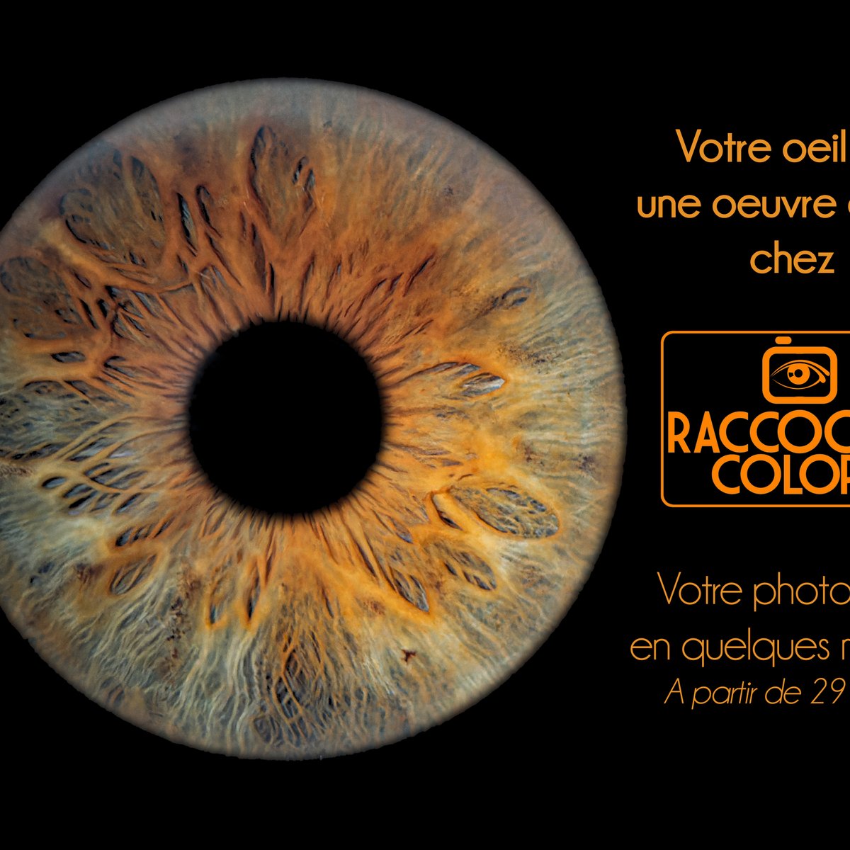 Raccoon's Colors (Perigueux, France): Hours, Address - Tripadvisor