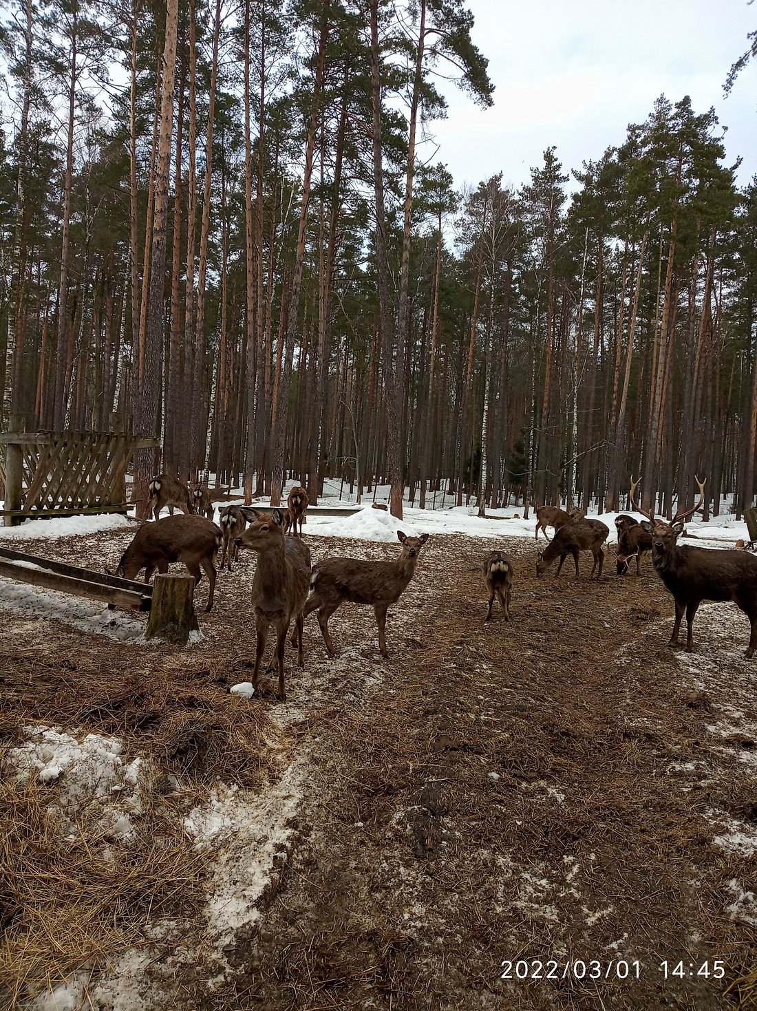 ОРЛОВСКОЕ ПОЛЕСЬЕ (Жудре) - отзывы и фото - Tripadvisor