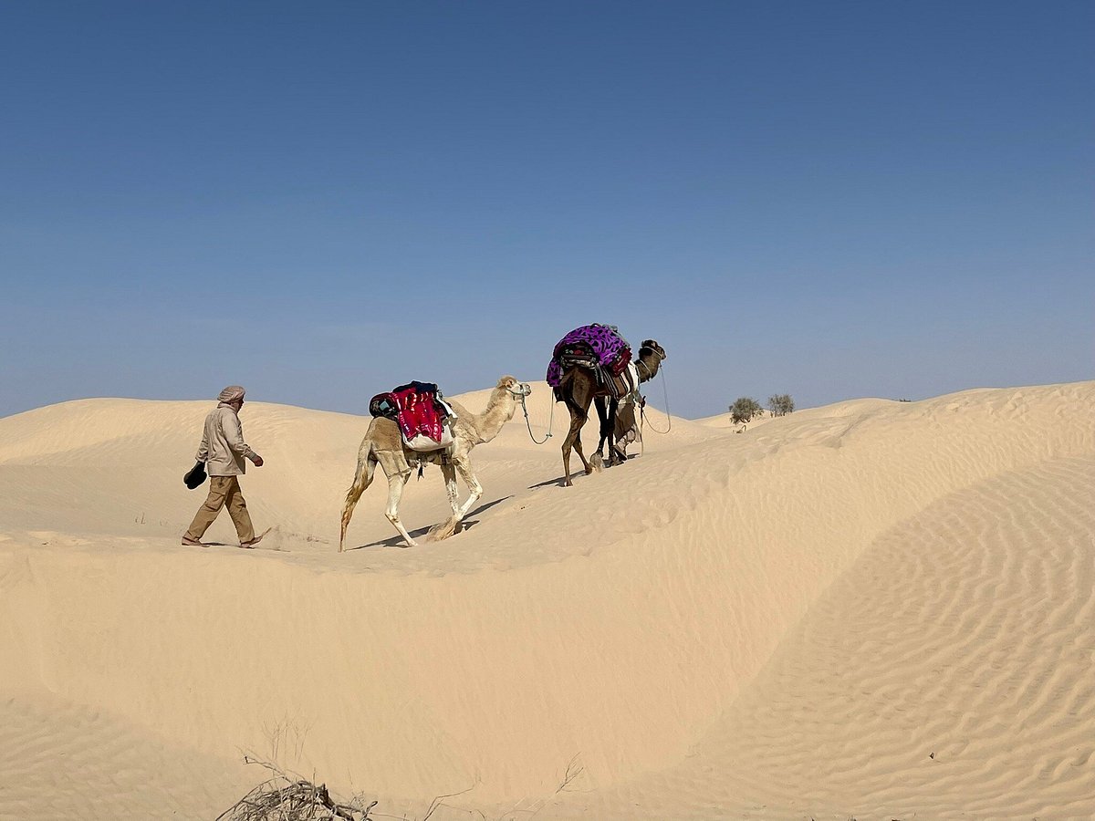 Sahha Sahara Douz Atualizado 2022 O Que Saber Antes De Ir Sobre O Que As Pessoas Estão 0783