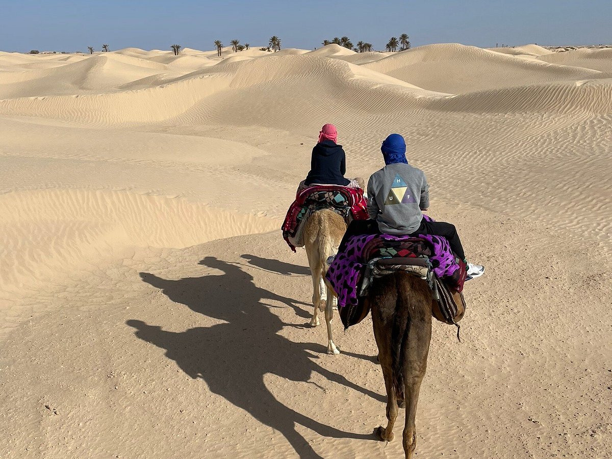 Sahha Sahara Douz Atualizado 2022 O Que Saber Antes De Ir Sobre O Que As Pessoas Estão 1173