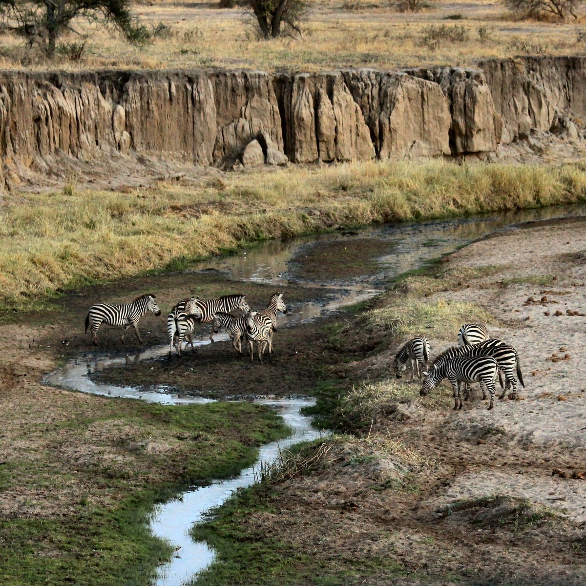 Karibu Heritage House Limited (Arusha, Tanzania): Hours, Address ...