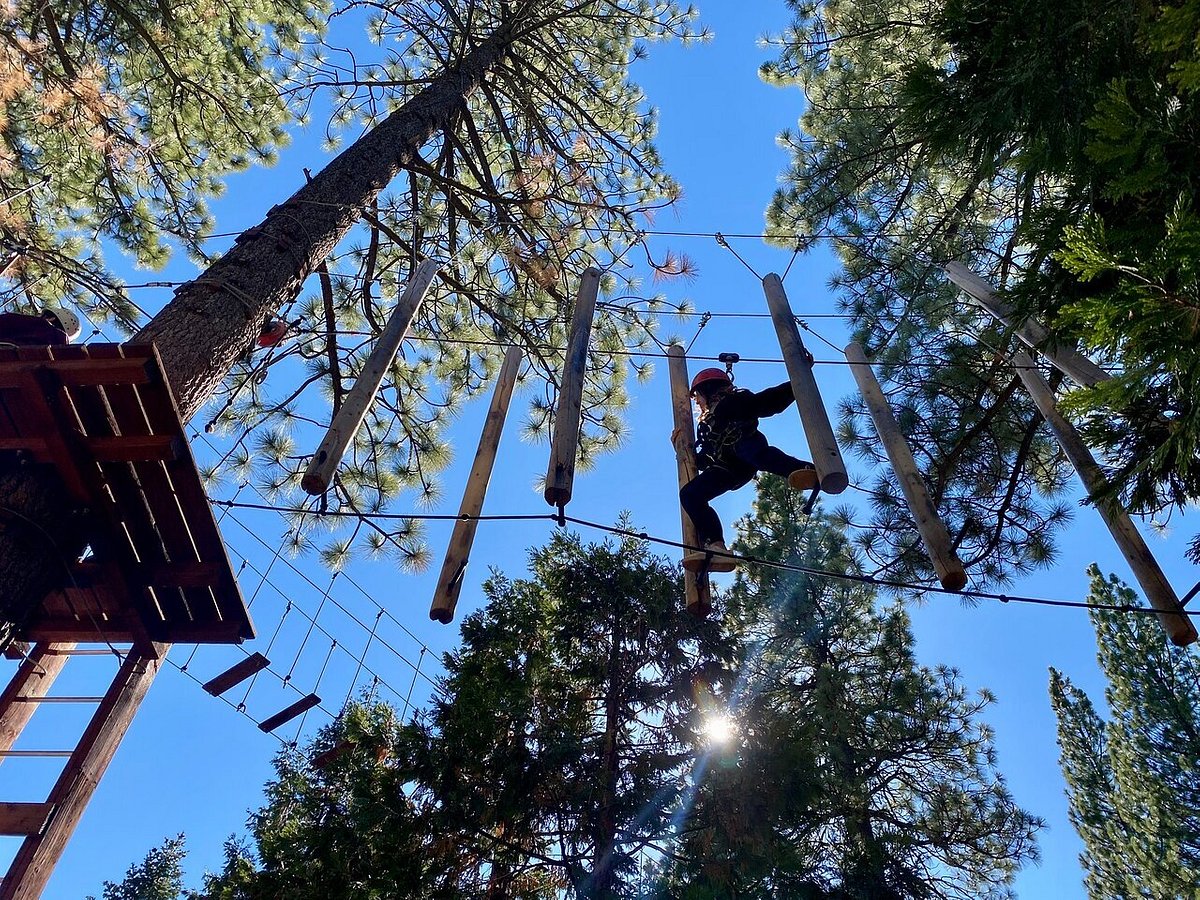 TAHOE VISTA TREETOP 2022 Qué saber antes de ir Lo más comentado por