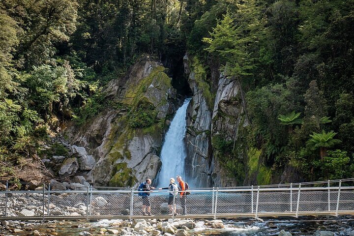 milford sound half day tour