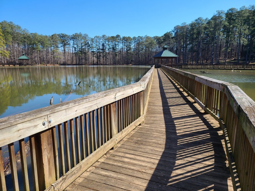THE 15 BEST Things to Do in Stone Mountain 2023 (with Photos