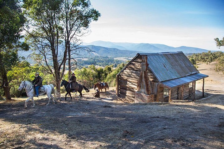 horseback winery tours yarra valley