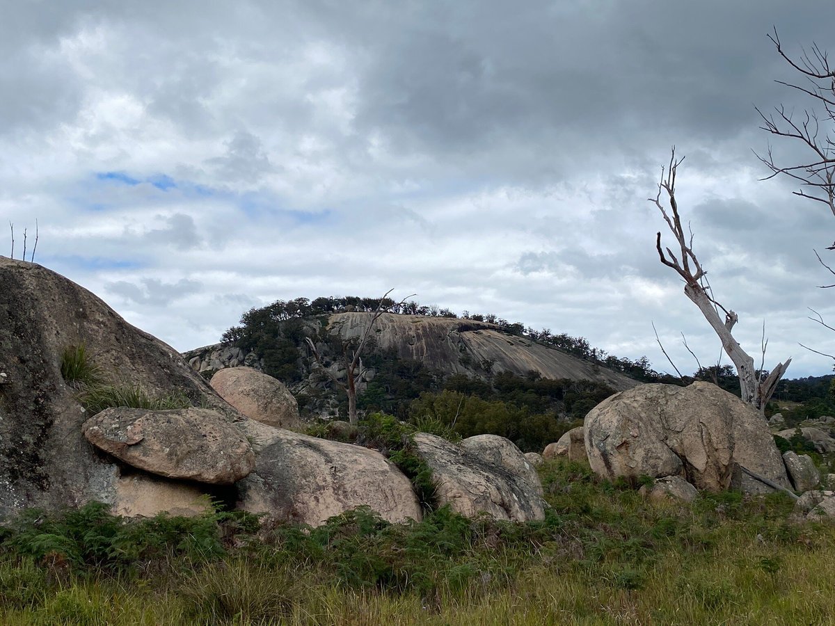 CRAIGS CARAVAN PARK: 2022 Reviews (Tenterfield) - Photos of Campground ...