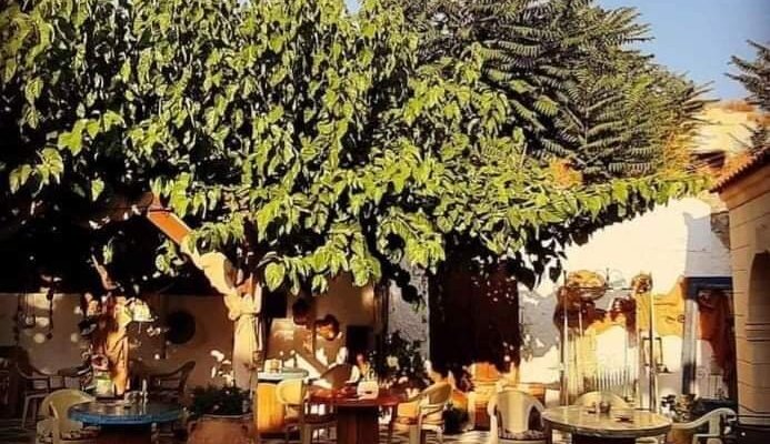 ΧΑΡΟΥΠΙ ΚΑΙ ΕΛΙΑ-CAROB AND OLIVE