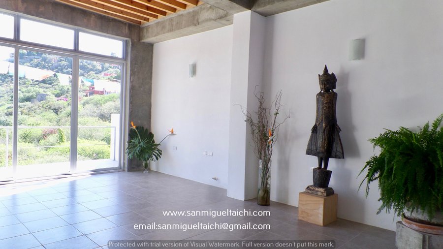 Clear Cloud Tai Chi Studio