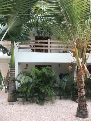 DIVERS PARADISE APARTMENTS BONAIRE, CARIBE: 117 fotos, comparação de preços  e 12 avaliações - Tripadvisor