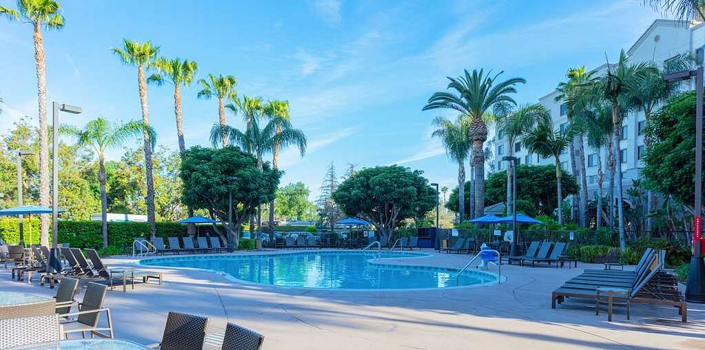 fotos-y-opiniones-de-la-piscina-del-sonesta-es-suites-anaheim-resort