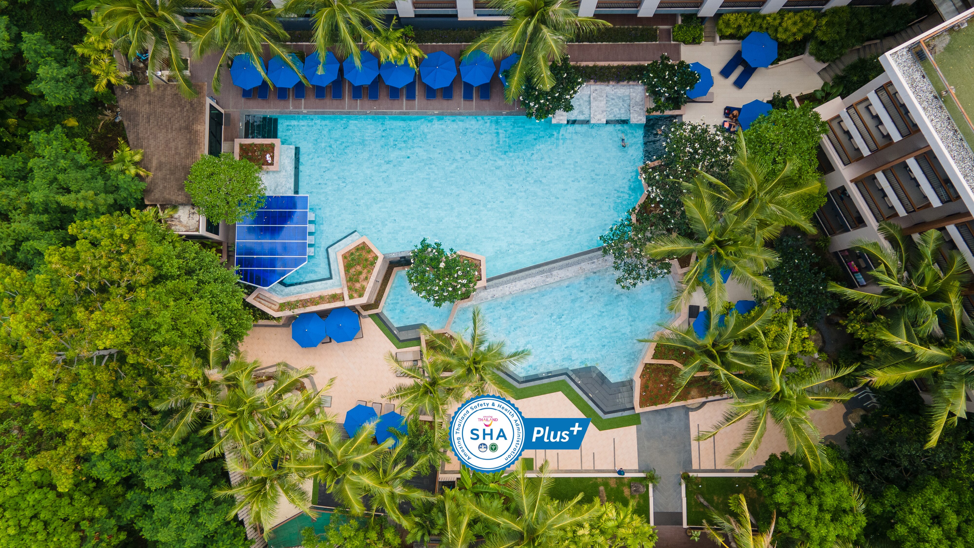 NOVOTEL PHUKET KATA AVISTA RESORT AND SPA $80 ($̶1̶4̶0̶) - Updated 2022 ...