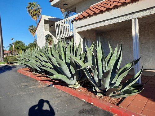 Motel 6 Carlsbad - Village (C̶$̶7̶5̶) C$68 - UPDATED Prices, Reviews