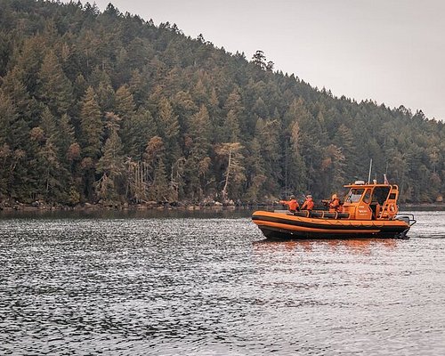 zodiac boat tour vancouver