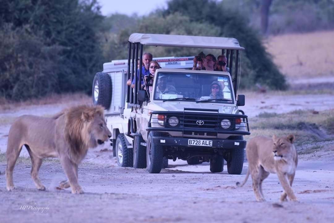 5 Days Kilimanjaro Safari Adventure All You Need To Know Before You Go 2024 0981