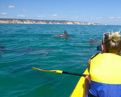 fraser island explorer day tour