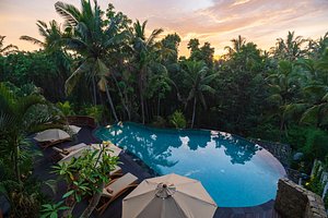 Adiwana Unagi Suites in Ubud, image may contain: Hotel, Resort, Pool, Swimming Pool