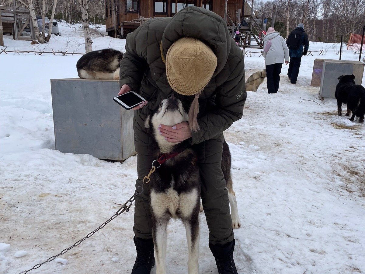 Снежные Псы, Петропавловск-Камчатский: лучшие советы перед посещением -  Tripadvisor