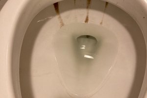 旅行者の写真