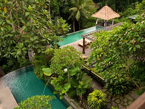 Adiwana Resort Jembawan in Ubud, image may contain: Hotel, Resort, Garden, Pool