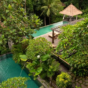 Adiwana Resort Jembawan in Ubud, image may contain: Hotel, Resort, Garden, Pool
