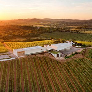 Tiago Cabaco Winery - All You Need to Know BEFORE You Go (with Photos)