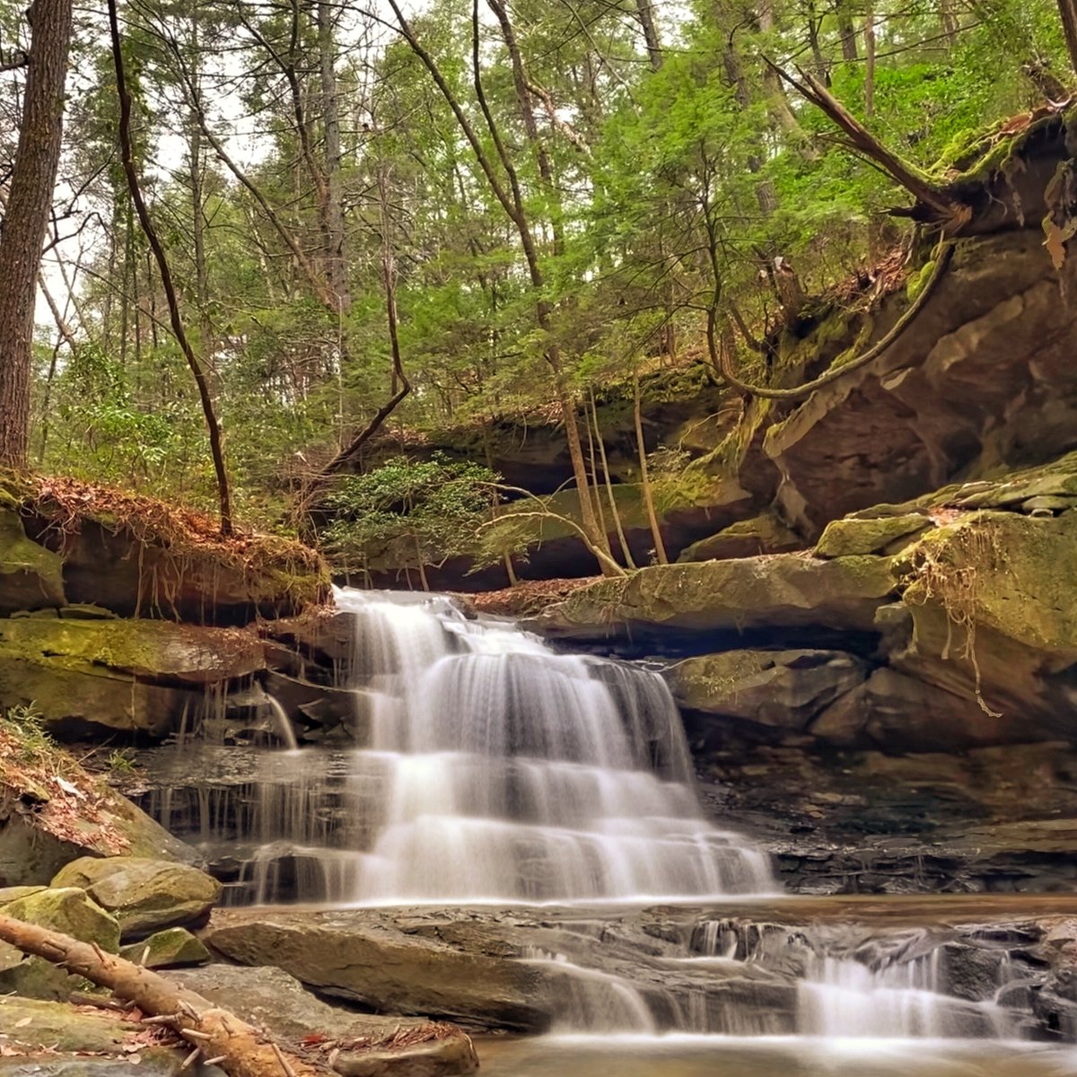 Alabama Mountain Lakes Tourist Association (Decatur): Hours, Address ...