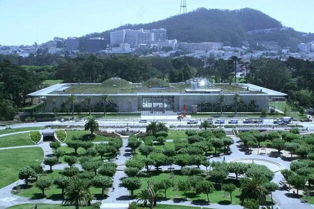 Exterior of California Academy of Sciences surrounded by trees