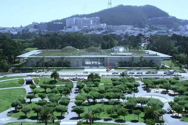 must visit places with family Exterior of California Academy of Sciences surrounded by trees