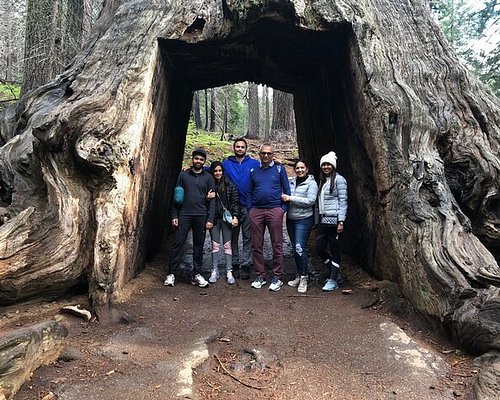 yosemite national park guided hiking tours