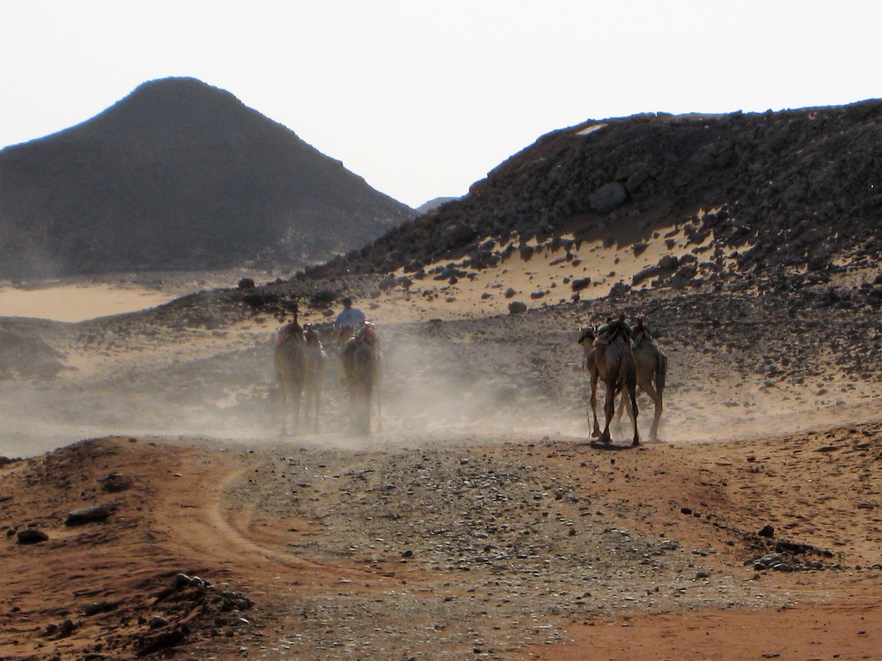 Nubian Desert Egipto 2022 Qu Saber Antes De Ir Lo M S Comentado   Souvenirs De Mes Voyages 