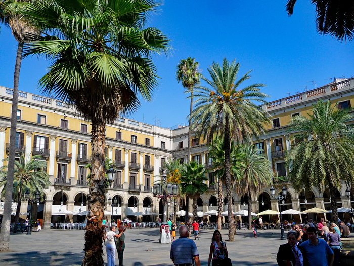 Imagen 6 de Placa Reial