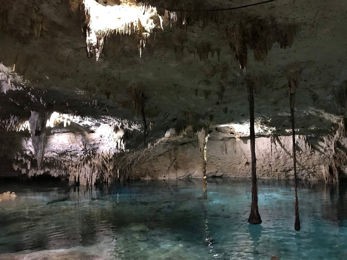 CENOTE CAVE DIVING (Playa del Carmen) - All You Need to Know BEFORE You Go