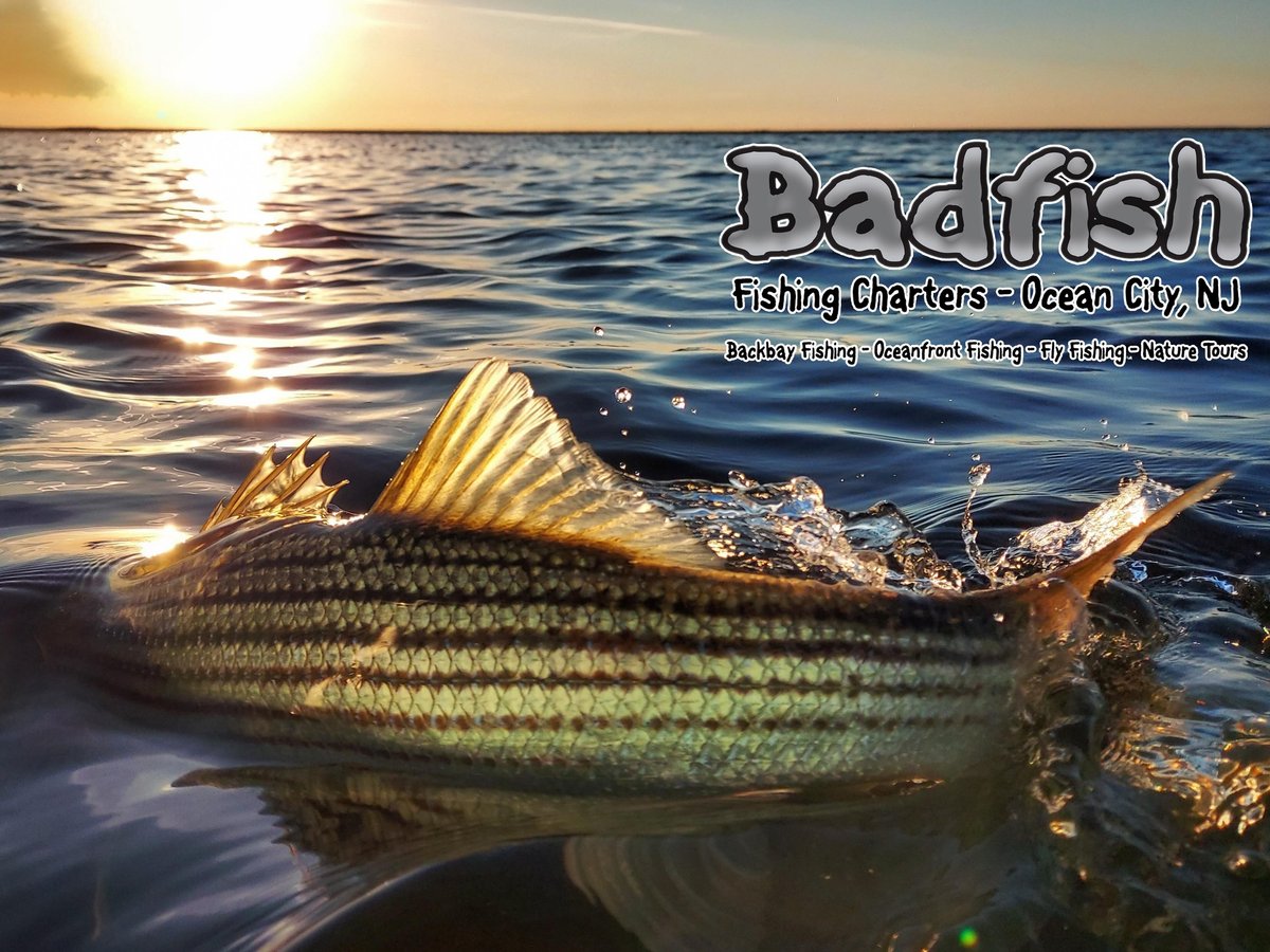 BADFISH FISHING CHARTERS (Somers Point) 2022 What to Know BEFORE You Go