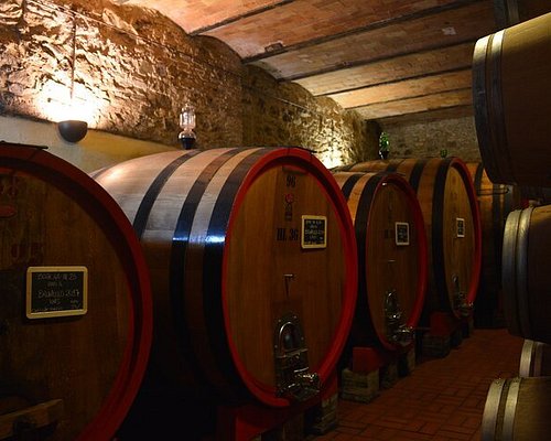 montalcino winery tours