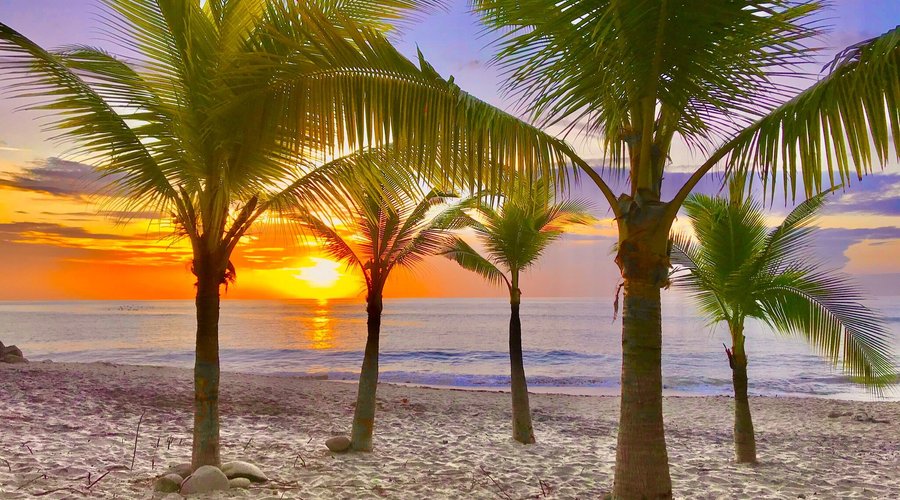 Bellos amanecer para degustar un café o te y meditar para comenzar un nuevo día