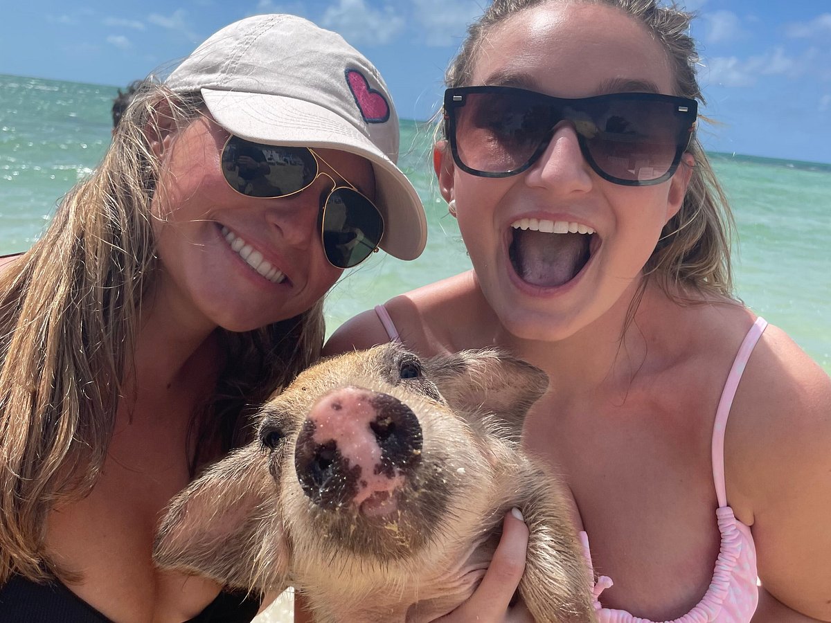 j&s tours and swimming pigs