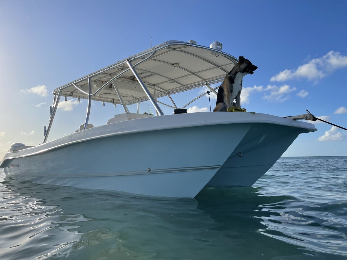 2023 Grand Cayman Private Boat Charter