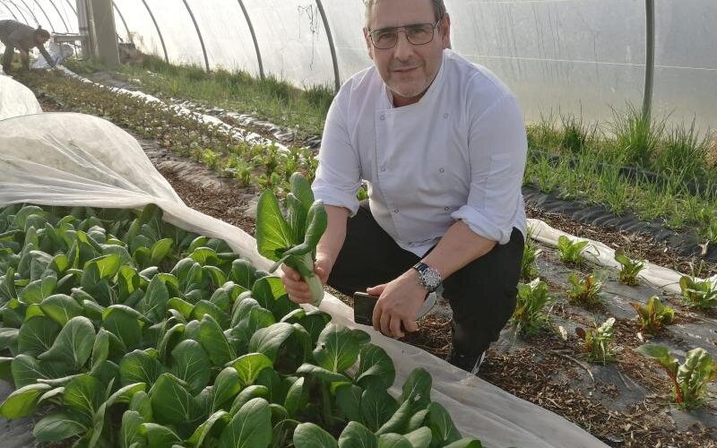 Huerto ecologico