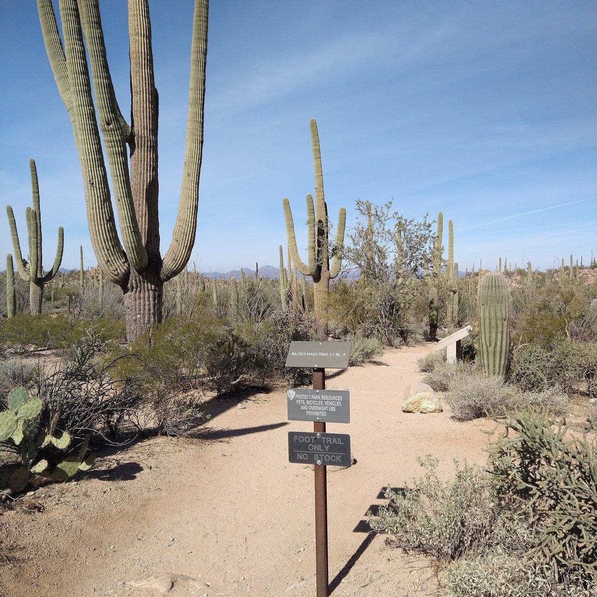 Valley View Overlook Trail (Tucson) - All You Need to Know BEFORE You Go