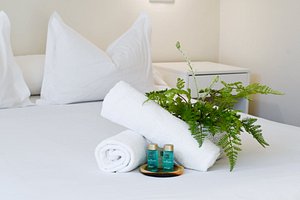 Hotel Celta in Vigo, image may contain: Potted Plant, Plant, Linen, Home Decor